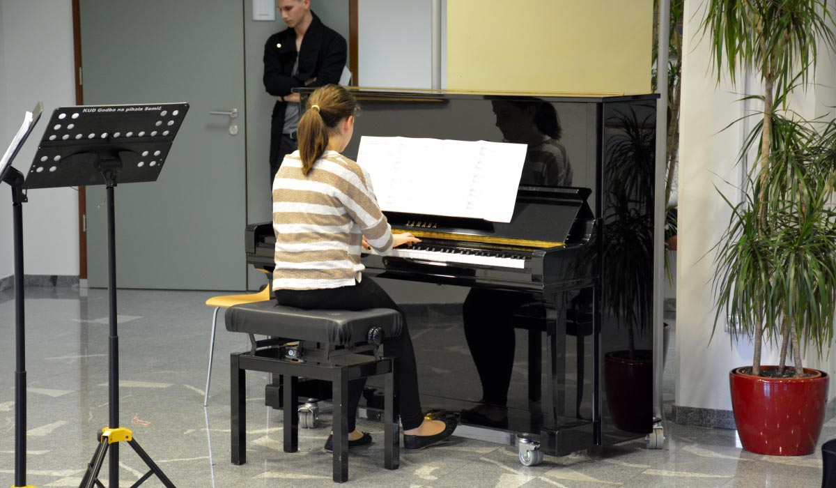 Solo exhibition at Cultural center Semič