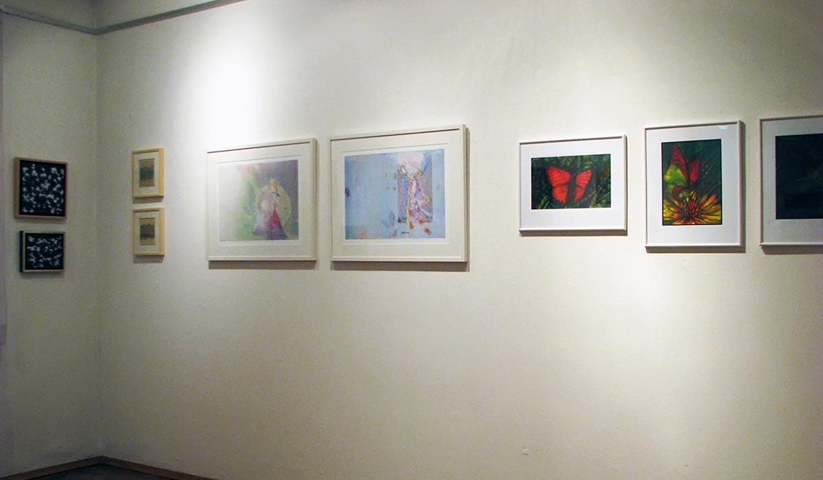 Traditional New Year's sales exhibition of ZDSLU members