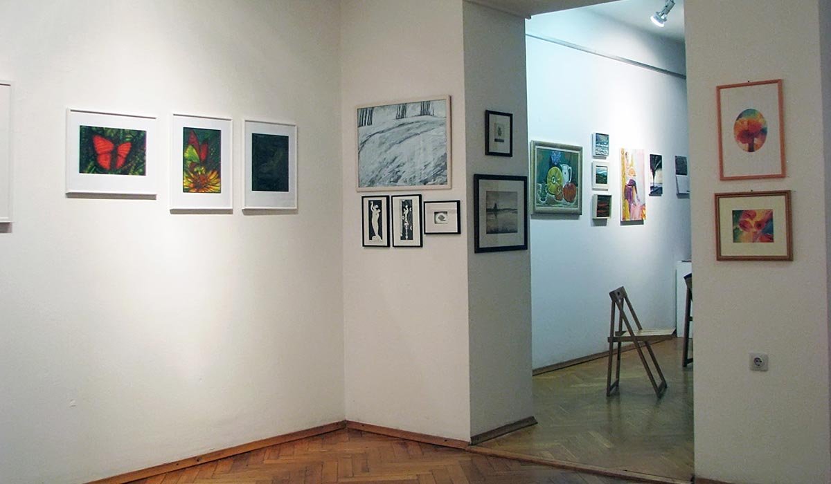 Traditional New Year's sales exhibition of ZDSLU members